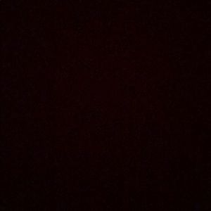 Meet your Posher, Kenny